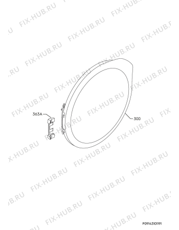 Взрыв-схема стиральной машины Electrolux EW8W7861E8 - Схема узла Door 003